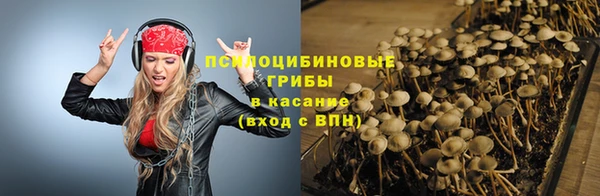 дурь Алзамай