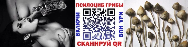 Галлюциногенные грибы ЛСД  OMG ссылки  Полевской 